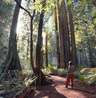 State Parks