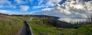 Discovery Park Loop Trail