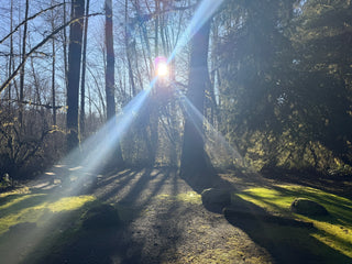 County & Regional Parks