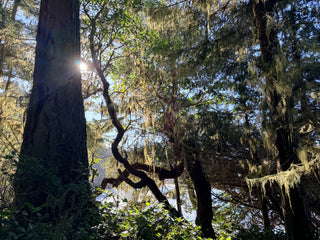 Group Camping Trip Near Olympic National Park (September 4-7, 2026)