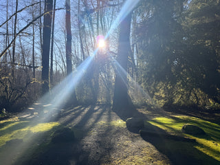 Group Camping Trip Near Olympic National Park (September 4-7, 2026)