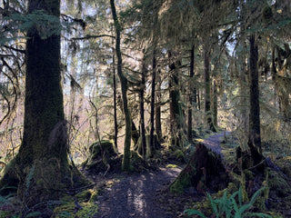 Group Camping Trip Near Olympic National Park (September 4-7, 2026)