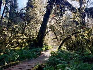 Group Camping Trip Near Olympic National Park (September 4-7, 2026)