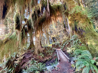 Group Camping Trip Near Olympic National Park (September 4-7, 2026)