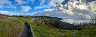 Discovery Park Loop Trail