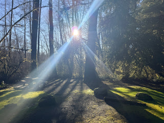 County & Regional Parks