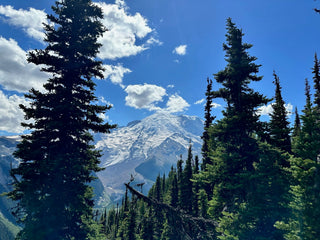 National Parks
